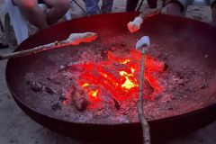 IMG-20240522-WA0220
