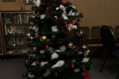 IMG-20241215-WA0028